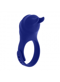 Синее эрекционное виброкольцо с клиторальной подушечкой и пультом ДУ Adjustable Fun Ring - Zero Tolerance - в Уссурийске купить с доставкой