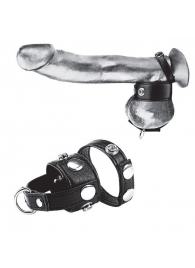 Утяжка для мошонки и пениса Cock Ring With 1  Ball Stretcher And Optional Weight Ring - BlueLine - купить с доставкой в Уссурийске