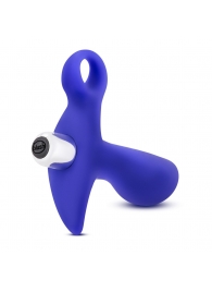 Синий стимулятор простаты с ручкой-кольцом Performance Prostimulator 02 - Blush Novelties - в Уссурийске купить с доставкой