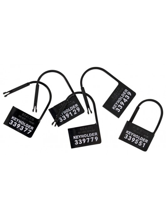 Набор для мужского пояса верности Cock Cage Set - Orion - купить с доставкой в Уссурийске