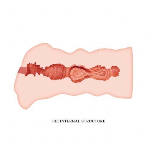 Телесный мастурбатор-вагина Leila - Baile - в Уссурийске купить с доставкой