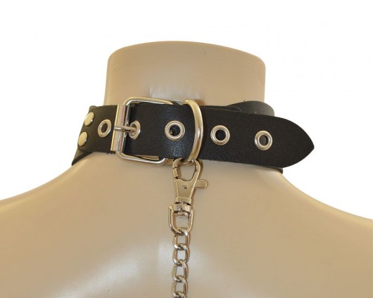 Ошейник  Веселый Роджер - Sitabella - купить с доставкой в Уссурийске