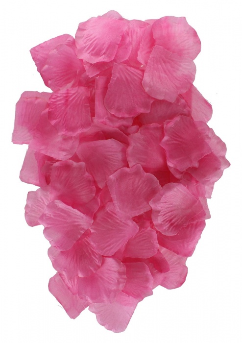 Эротический набор FANTASTIC PURPLE SEX TOY KIT - Toy Joy - купить с доставкой в Уссурийске