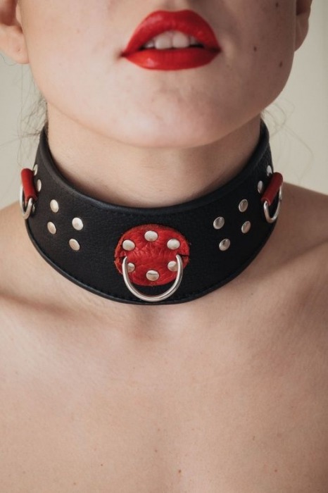 Кожаный ошейник с клепками и кольцами - БДСМ Арсенал - купить с доставкой в Уссурийске