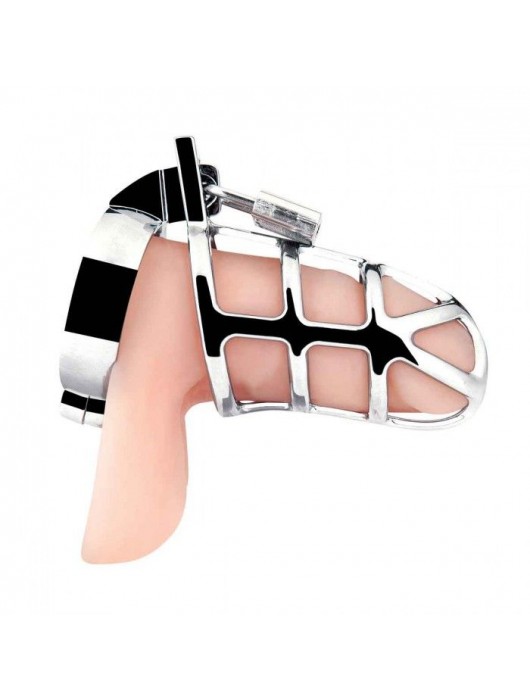 Серебристая металлическая клетка для члена с замком Enslave Cock Cage - BlueLine - купить с доставкой в Уссурийске