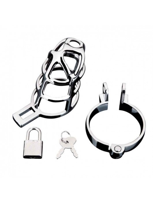Серебристая металлическая клетка для члена с замком Enslave Cock Cage - BlueLine - купить с доставкой в Уссурийске