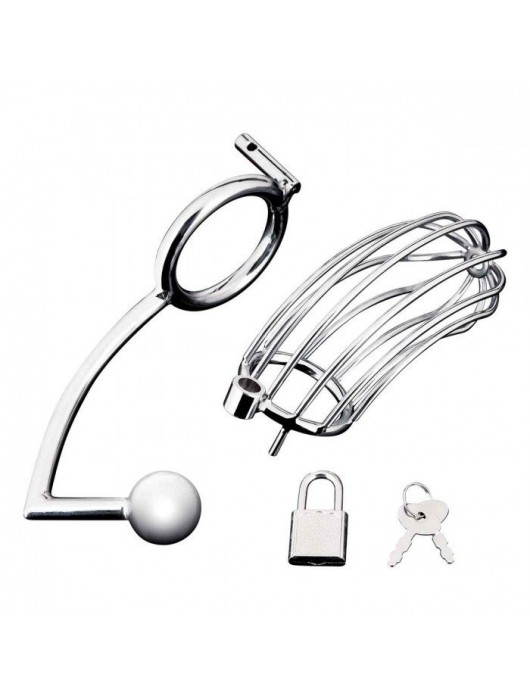 Серебристая металлическая клетка с анальным стимулятором Cock Cage - BlueLine - купить с доставкой в Уссурийске