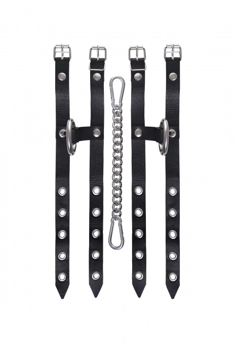 Черные однослойные кожаные оковы из двух ремешков - Pecado - купить с доставкой в Уссурийске