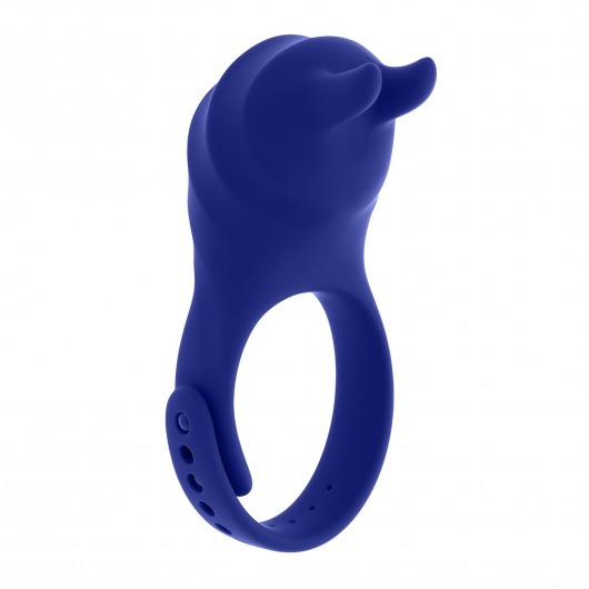 Синее эрекционное виброкольцо с клиторальной подушечкой и пультом ДУ Adjustable Fun Ring - Zero Tolerance - в Уссурийске купить с доставкой