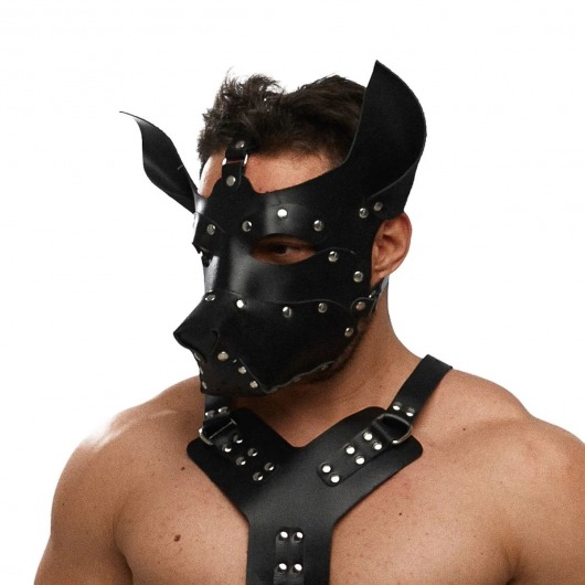 Черная кожаная маска «Собака» - Crazy Handmade - купить с доставкой в Уссурийске