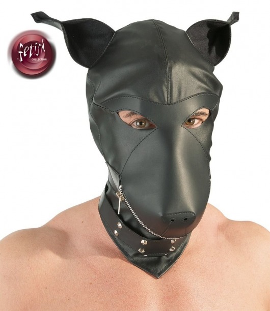 Шлем-маска Dog Mask в виде морды собаки - Orion - купить с доставкой в Уссурийске