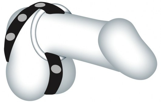 Подхват для мошонки с 3 съемными эрекционными кольцами Leder-Riemen - Orion - в Уссурийске купить с доставкой