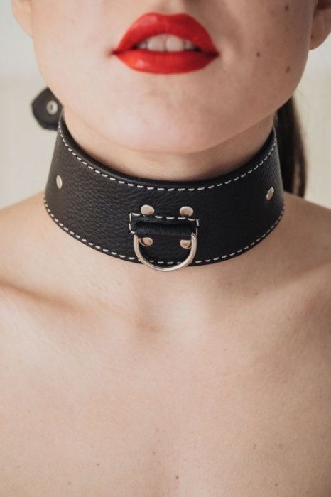 Черный кожаный ошейник с петлёй для поводка - БДСМ Арсенал - купить с доставкой в Уссурийске