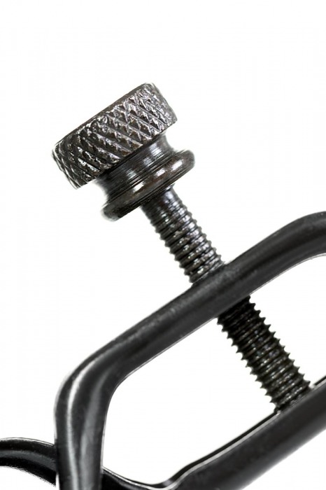 Черно-золотистые зажимы для сосков TOYFA Theatre - ToyFa - купить с доставкой в Уссурийске