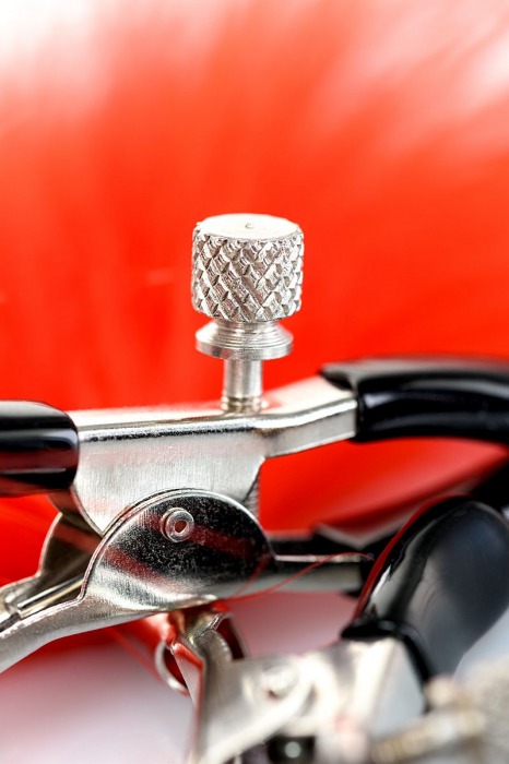 Зажимы для сосков с красным пухом Theatre - ToyFa - купить с доставкой в Уссурийске